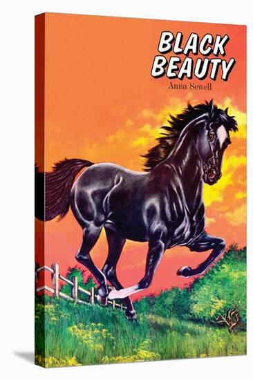 Black Beauty-null-Stretched Canvas