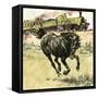 Black Beauty-Carlos Gabriel Roume-Framed Stretched Canvas