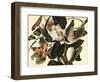 Black-Billed Cuckoo, 1822-John James Audubon-Framed Premium Giclee Print