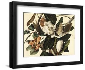 Black-Billed Cuckoo, 1822-John James Audubon-Framed Premium Giclee Print