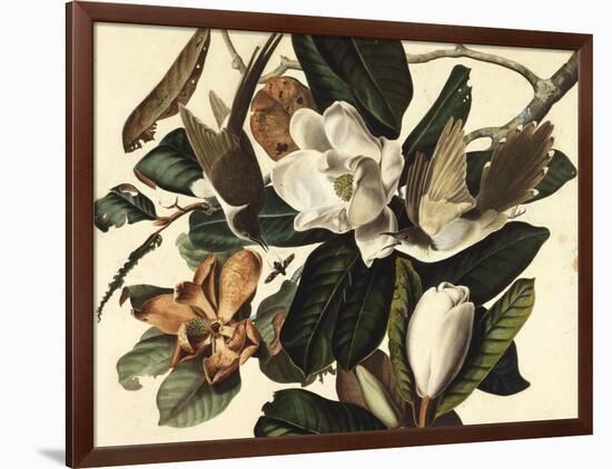 Black-Billed Cuckoo, 1822-John James Audubon-Framed Giclee Print