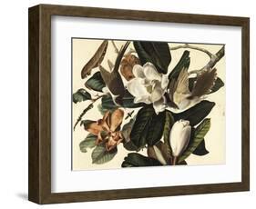 Black-Billed Cuckoo, 1822-John James Audubon-Framed Giclee Print