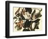 Black-Billed Cuckoo, 1822-John James Audubon-Framed Giclee Print