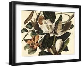 Black-Billed Cuckoo, 1822-John James Audubon-Framed Giclee Print