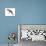 Black-Billed Cuckoo (Coccyzus Erythropthalmus), Birds-Encyclopaedia Britannica-Stretched Canvas displayed on a wall