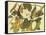 Black-Billed Cuckoo-John James Audubon-Framed Stretched Canvas