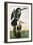 Black-Billed Darter, from 'Birds of America', engraved by Robert Havell-John James Audubon-Framed Giclee Print