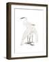 Black Billed Heron-Maria Mendez-Framed Giclee Print