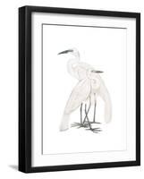 Black Billed Heron-Maria Mendez-Framed Giclee Print