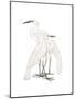 Black Billed Heron-Maria Mendez-Mounted Giclee Print