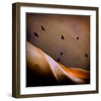 Black Birds Flying-Trigger Image-Framed Photographic Print