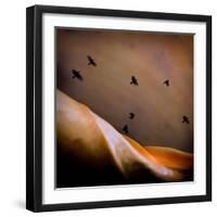 Black Birds Flying-Trigger Image-Framed Photographic Print