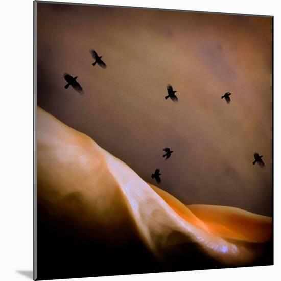 Black Birds Flying-Trigger Image-Mounted Photographic Print