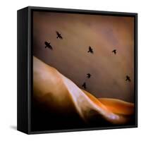 Black Birds Flying-Trigger Image-Framed Stretched Canvas