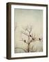 Black Birds in a Tree-Jillian Melnyk-Framed Photographic Print