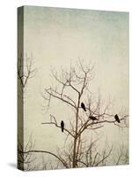 Black Birds in a Tree-Jillian Melnyk-Stretched Canvas