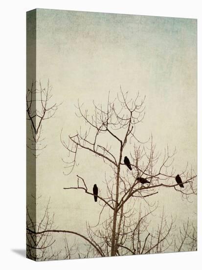 Black Birds in a Tree-Jillian Melnyk-Stretched Canvas