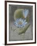 Black Botanical III-Emma Hill-Framed Giclee Print