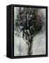 Black Bramble-Jodi Maas-Framed Stretched Canvas