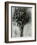 Black Bramble-Jodi Maas-Framed Giclee Print