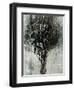 Black Bramble-Jodi Maas-Framed Giclee Print