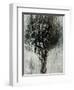 Black Bramble-Jodi Maas-Framed Giclee Print