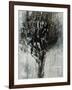 Black Bramble-Jodi Maas-Framed Giclee Print