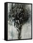 Black Bramble-Jodi Maas-Framed Stretched Canvas