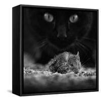 Black Breakfast-Francois Casanova-Framed Stretched Canvas