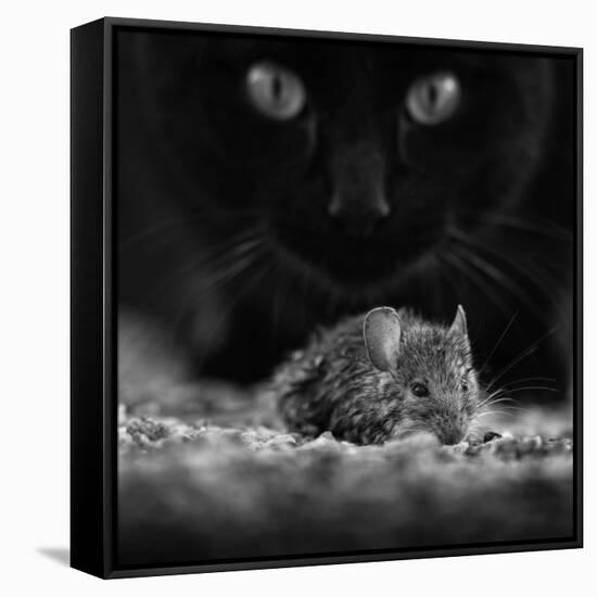 Black Breakfast-Francois Casanova-Framed Stretched Canvas