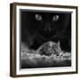 Black Breakfast-Francois Casanova-Framed Premium Photographic Print