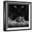 Black Breakfast-Francois Casanova-Framed Premium Photographic Print