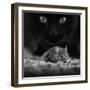 Black Breakfast-Francois Casanova-Framed Photographic Print