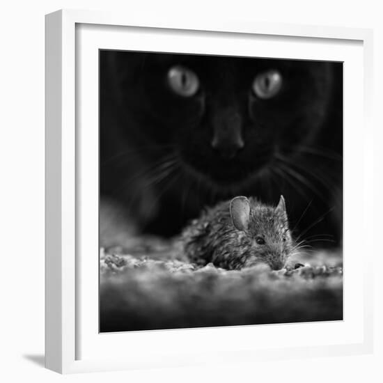 Black Breakfast-Francois Casanova-Framed Photographic Print