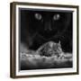 Black Breakfast-Francois Casanova-Framed Photographic Print