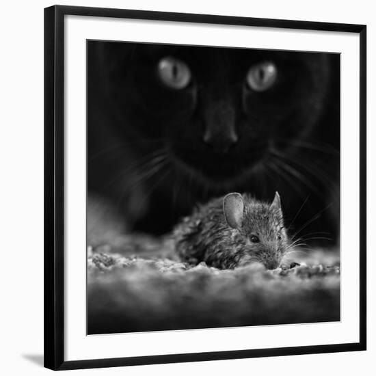 Black Breakfast-Francois Casanova-Framed Photographic Print