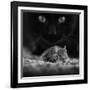 Black Breakfast-Francois Casanova-Framed Photographic Print