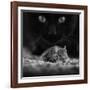 Black Breakfast-Francois Casanova-Framed Photographic Print