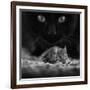 Black Breakfast-Francois Casanova-Framed Photographic Print