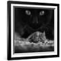 Black Breakfast-Francois Casanova-Framed Photographic Print