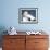 Black-Browed Albatross Greeting Courtship Display. Falkland Islands-Martin Zwick-Framed Photographic Print displayed on a wall