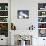 Black-Browed Albatross Greeting Courtship Display. Falkland Islands-Martin Zwick-Photographic Print displayed on a wall