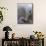 Black-Browed Albatross Preening Chick in Nest, Falkland Islands-Theo Allofs-Mounted Photographic Print displayed on a wall