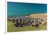 Black-browed albatross (Thalassarche melanophris) breeding colony on Saunders Island, Falkland Isla-Michael Nolan-Framed Photographic Print