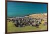 Black-browed albatross (Thalassarche melanophris) breeding colony on Saunders Island, Falkland Isla-Michael Nolan-Framed Photographic Print