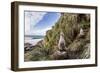 Black-Browed Albatross (Thalassarche Melanophris) Chicks in Nest on Saunders Island-Michael Nolan-Framed Photographic Print