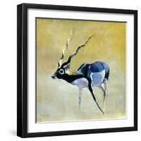 Black Buck, Velavadar, 1997-Mark Adlington-Framed Giclee Print