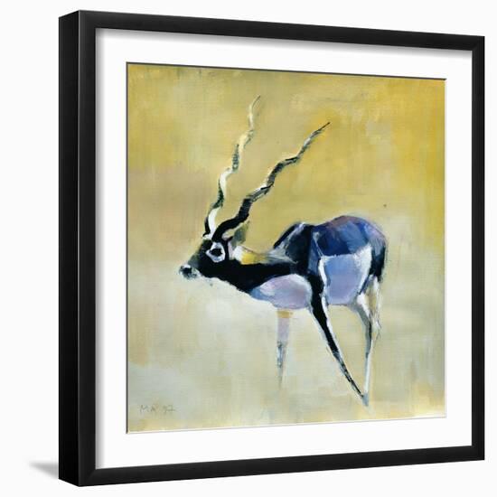 Black Buck, Velavadar, 1997-Mark Adlington-Framed Giclee Print