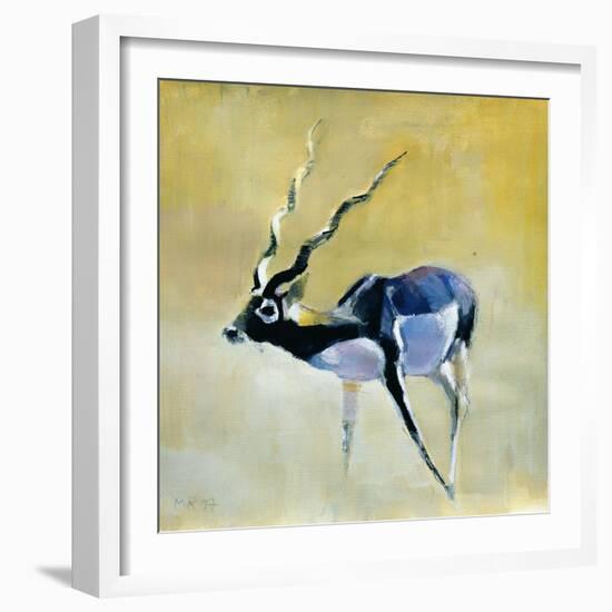 Black Buck, Velavadar, 1997-Mark Adlington-Framed Giclee Print