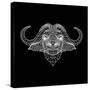 Black Buffalo Mesh-Lisa Kroll-Stretched Canvas